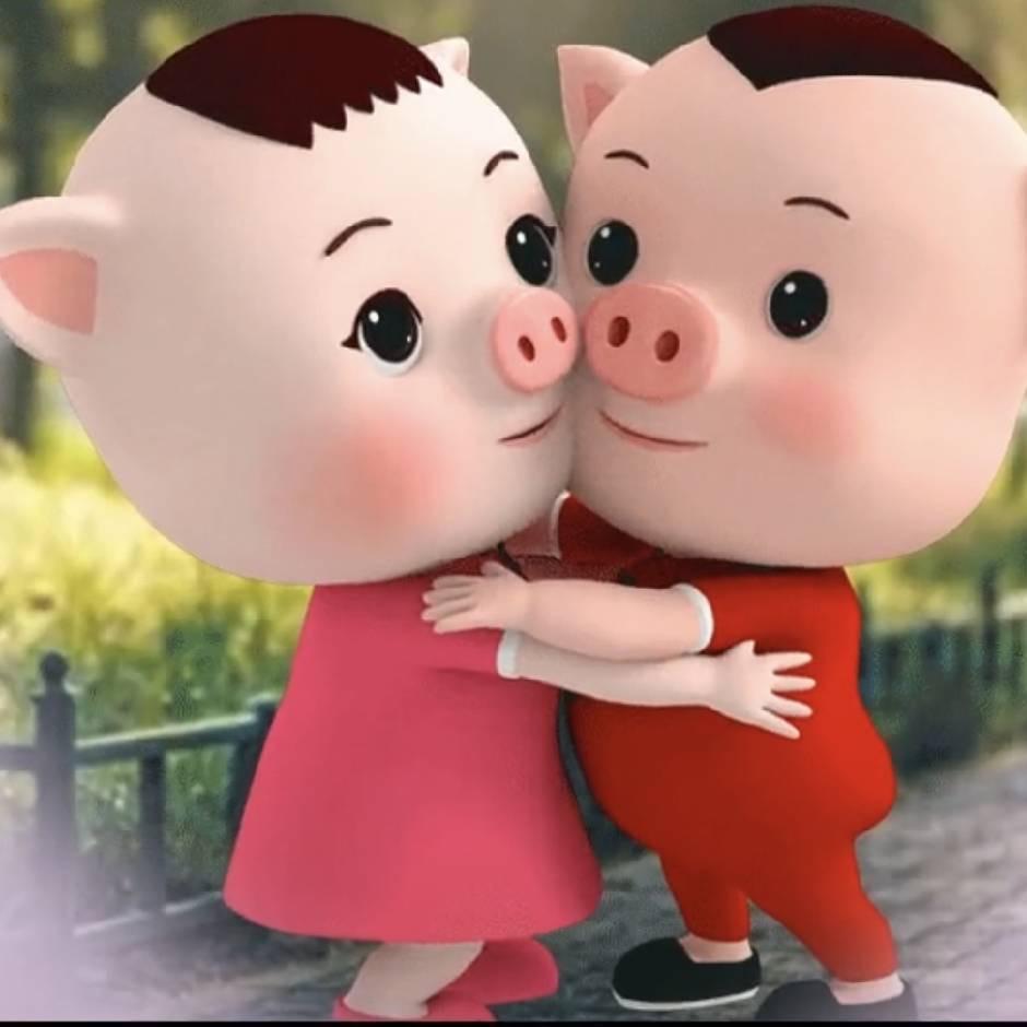 我非柠檬为何心酸