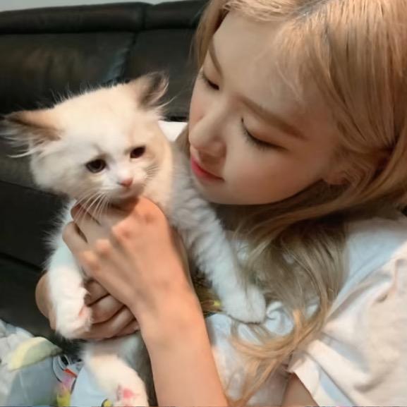 爱吃麻辣烫