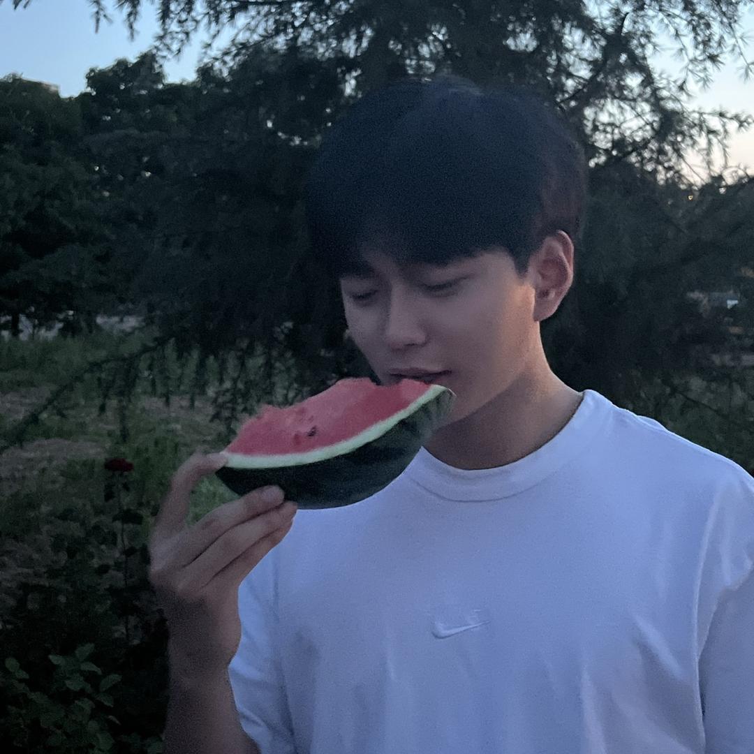 老猫（努力工作版）