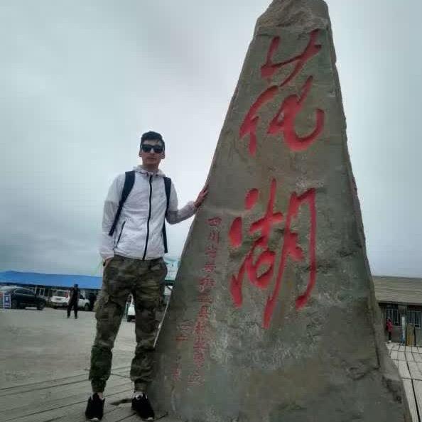 自律小灰灰