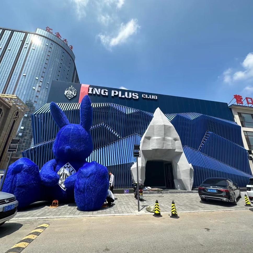 5.1租车Kingplus（董事长）