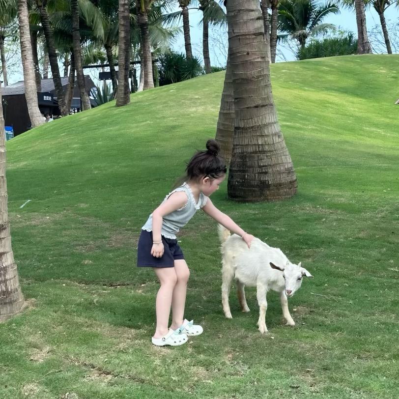小丸子.