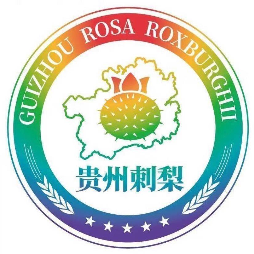 贵州刺梨专营·盘州旗舰店
