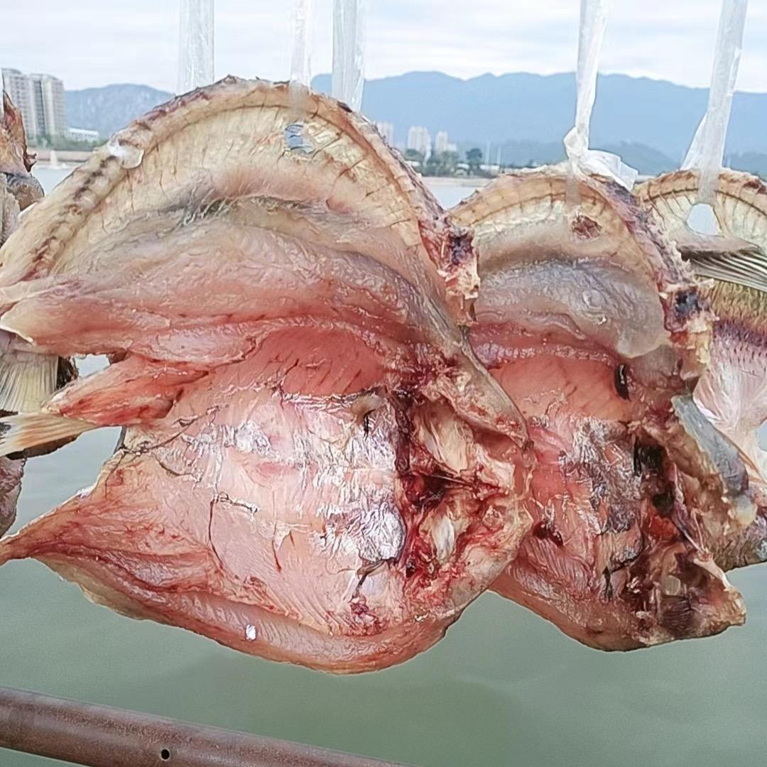 🐟姑娘