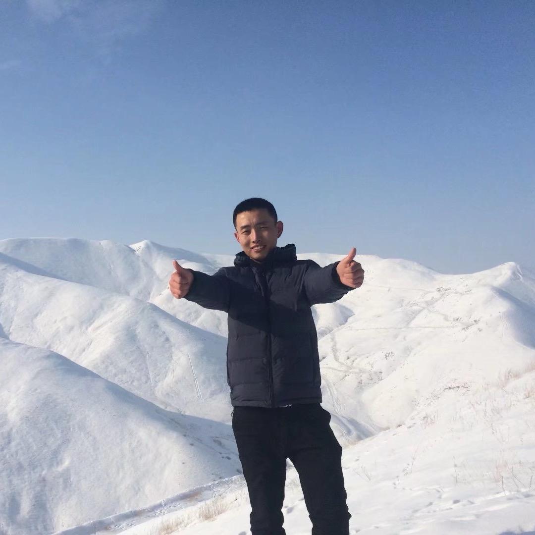 杨的日常