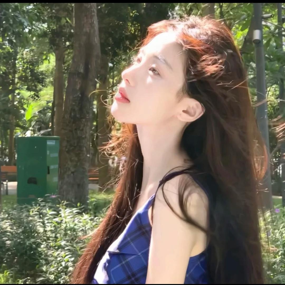 明月怜