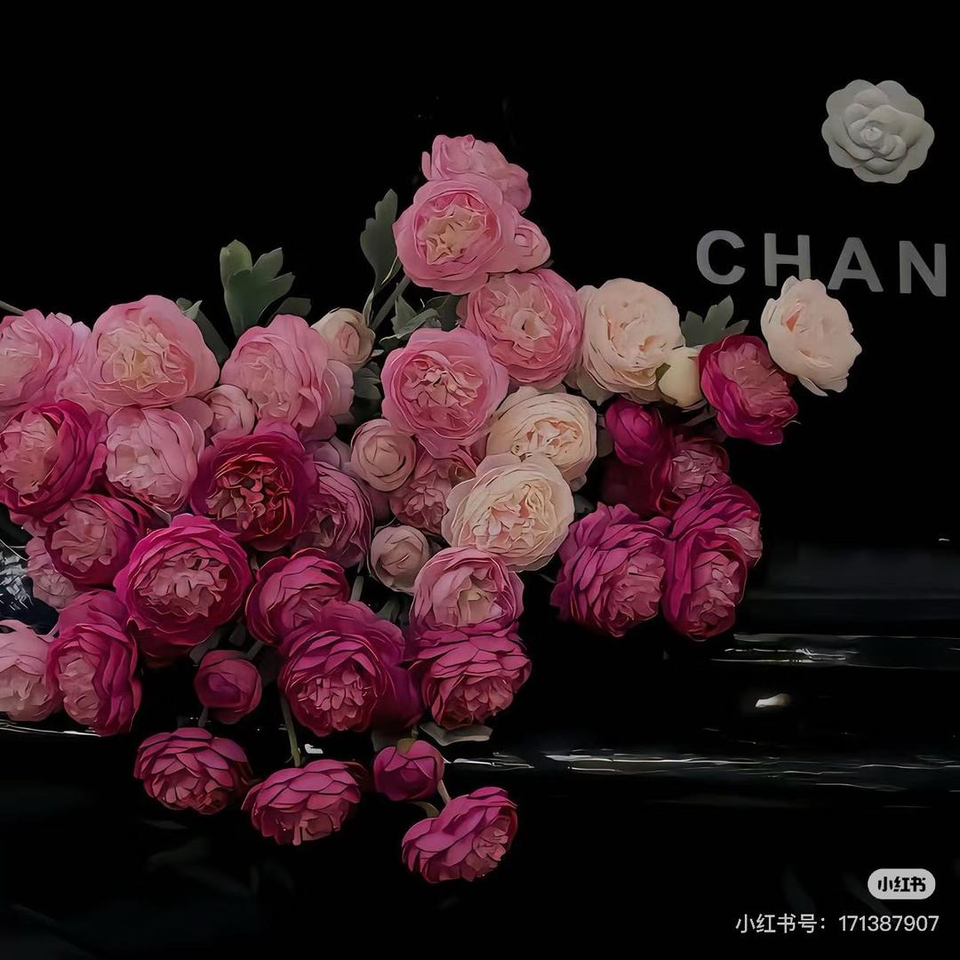 轻舟已过万重山