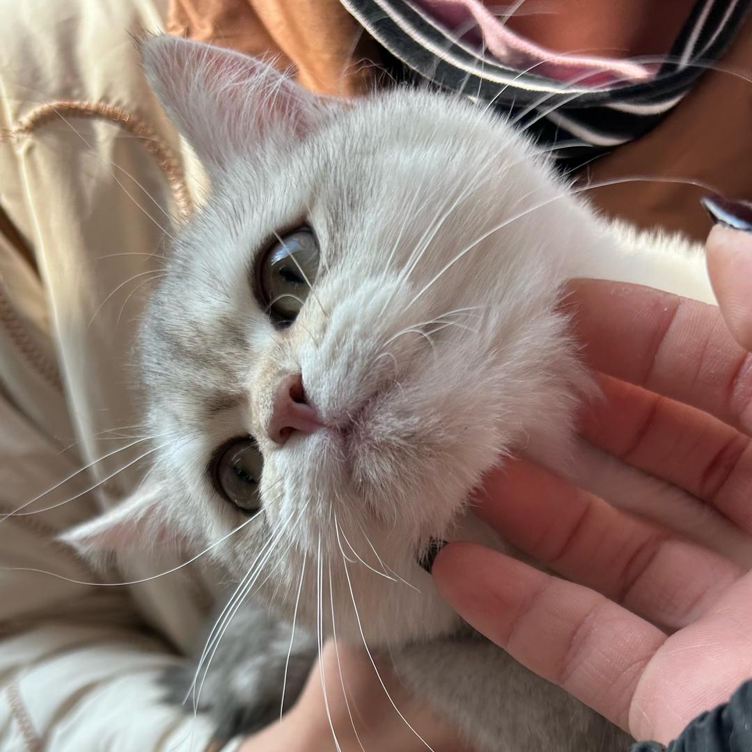 Xxxxx