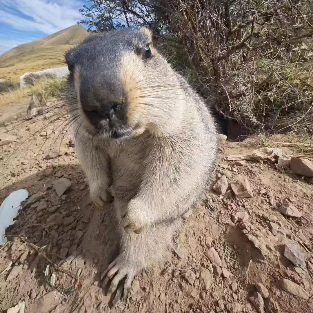 。。。.