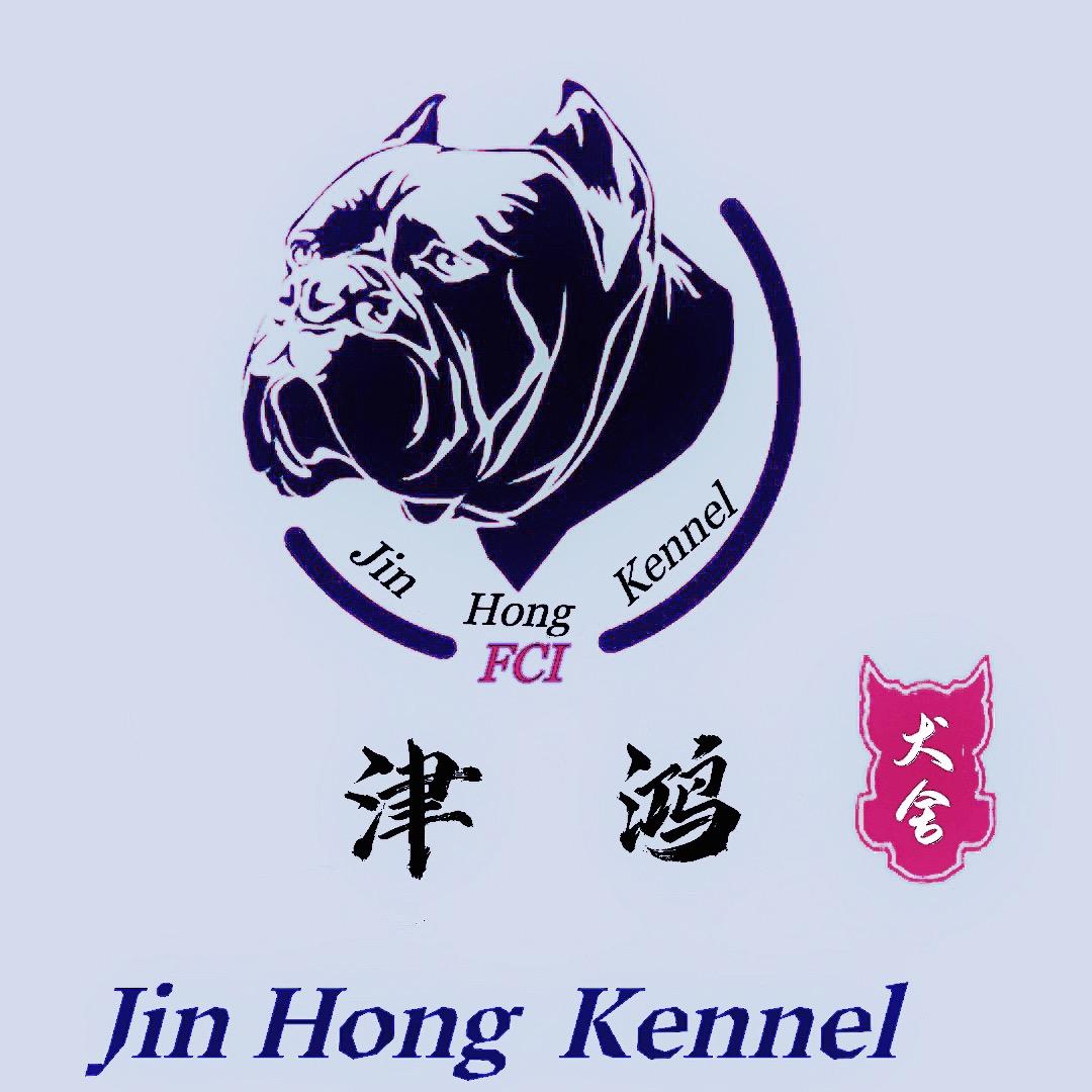 天津～津鸿卡斯罗