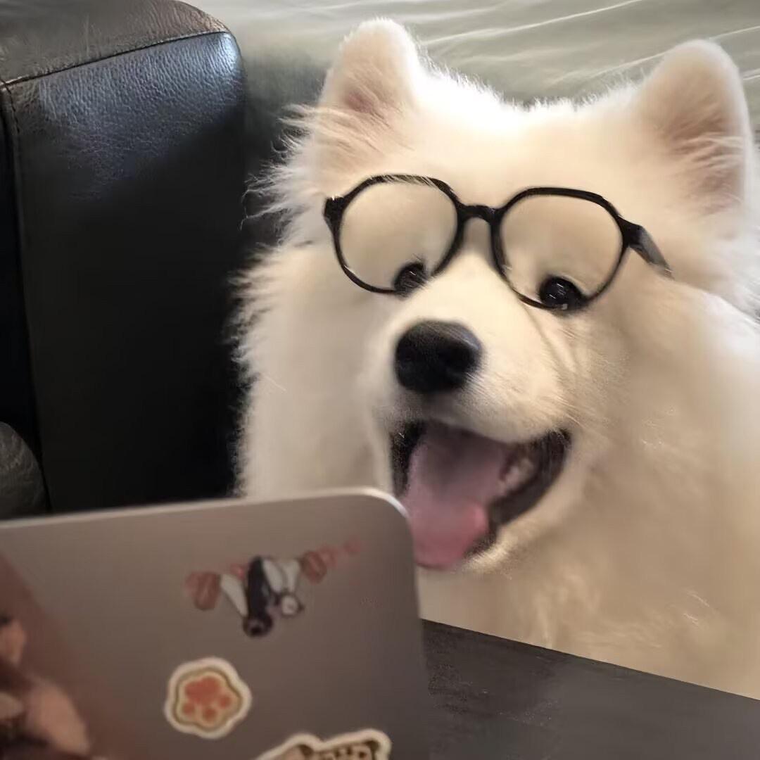 画个大饼给你吃