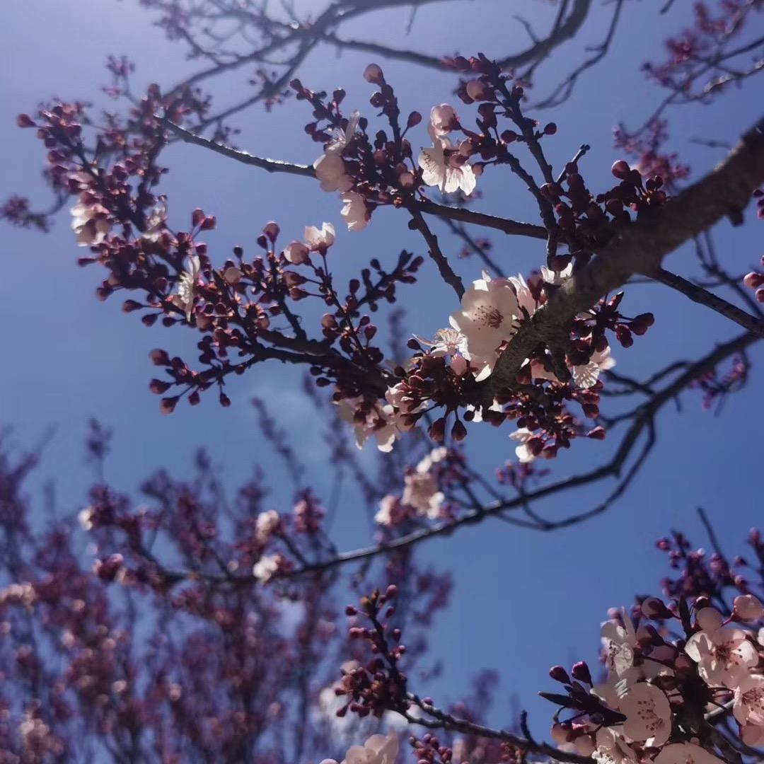 新营家具批发#小梁