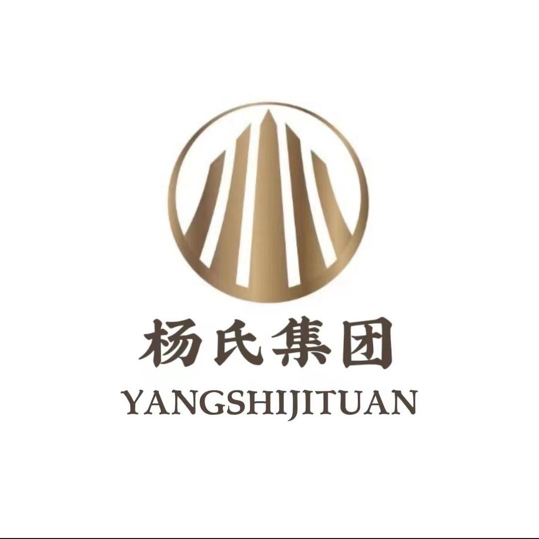 杨氏集团-杨阳