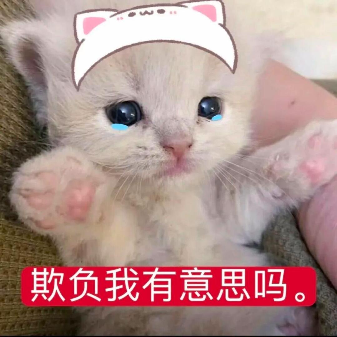 yy