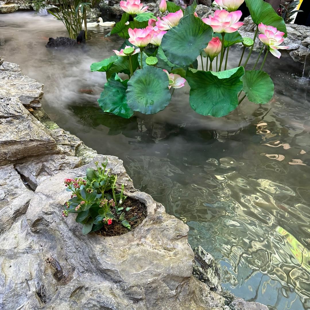 莫非❤️
