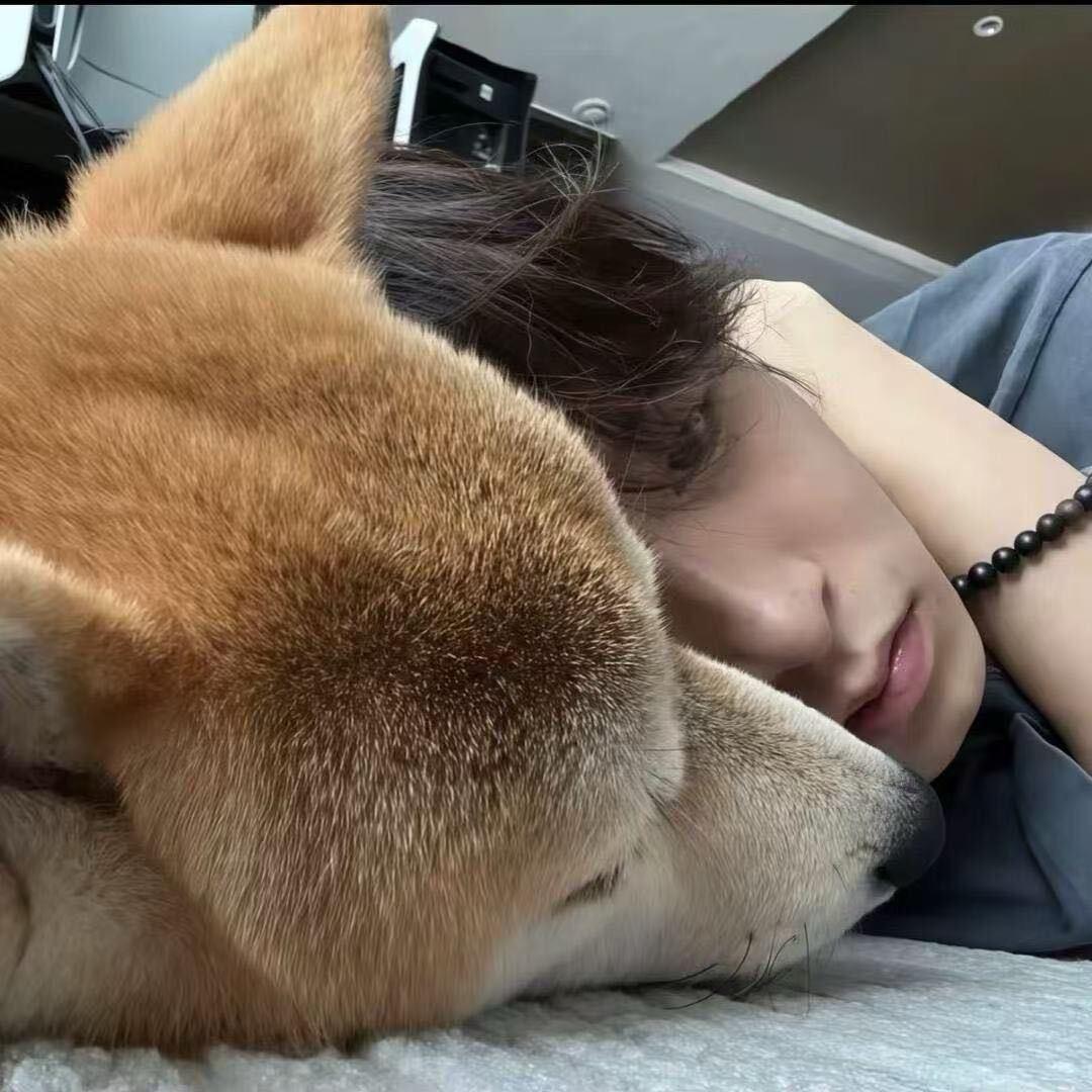 好好说.