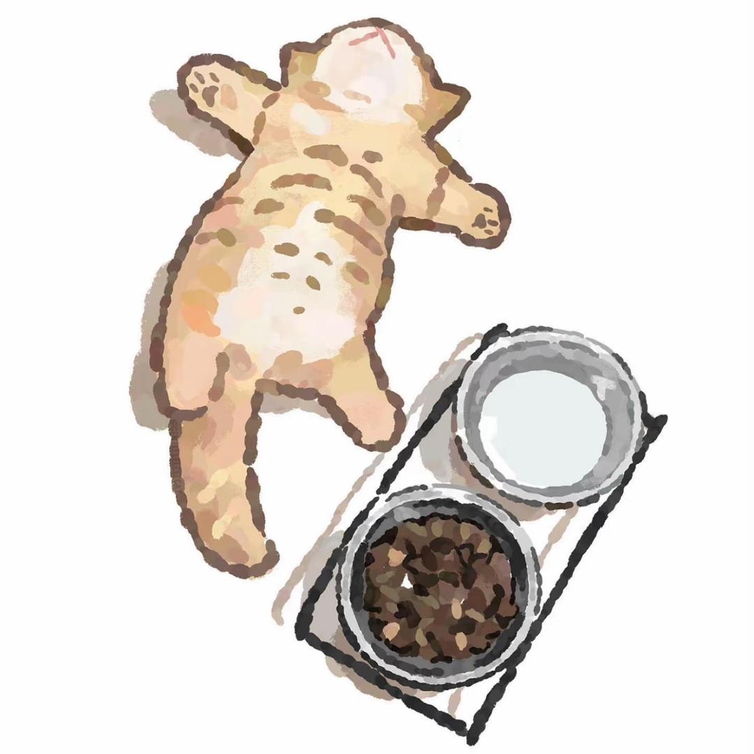 🐾饼饼是只招财猫