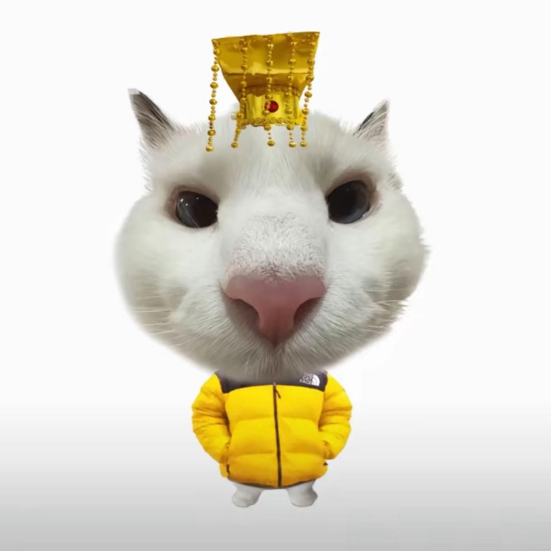 悲伤de猪大肠