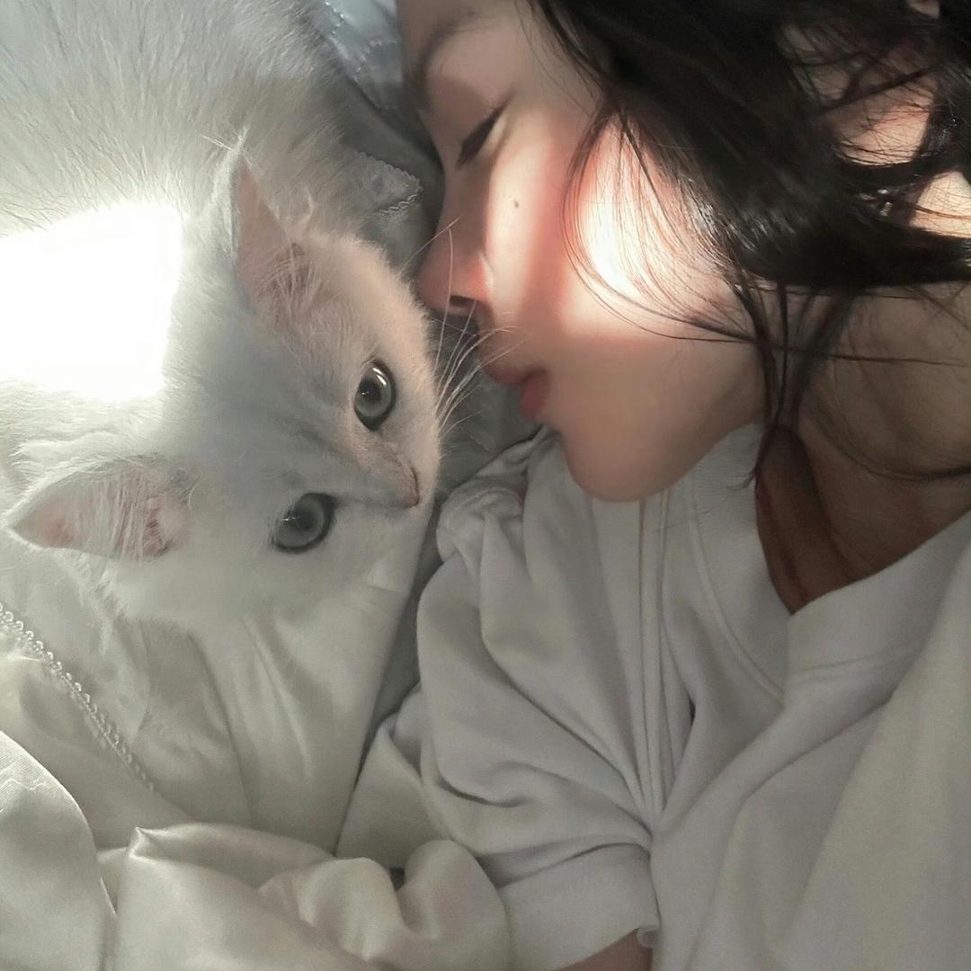 我希嫩蝶