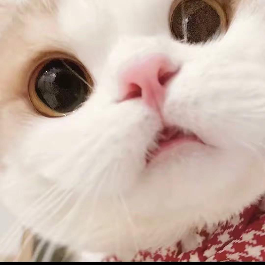 好想睡觉