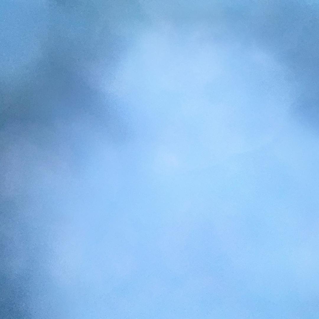 晚枫