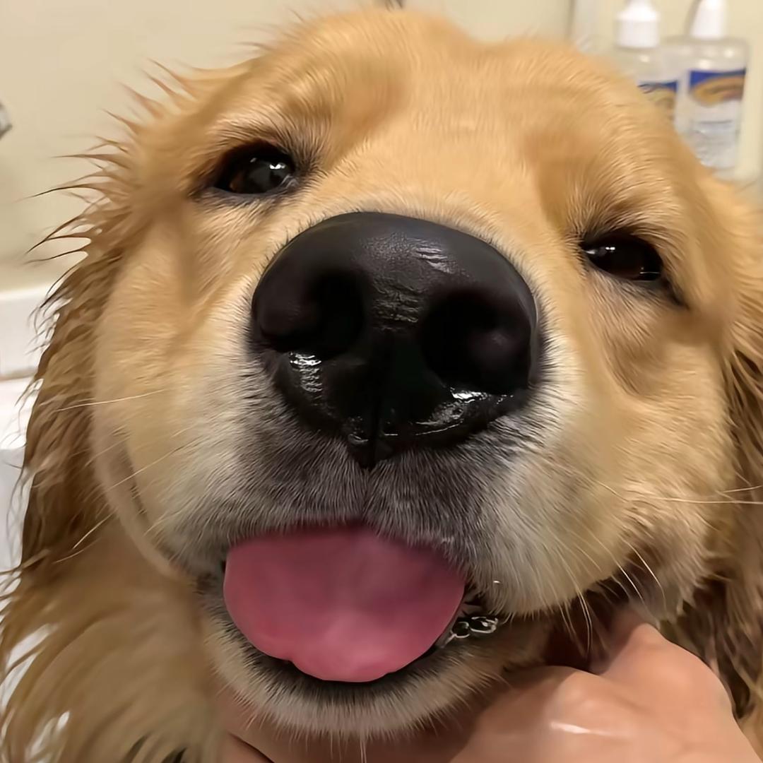 蒜皮天下第一萌