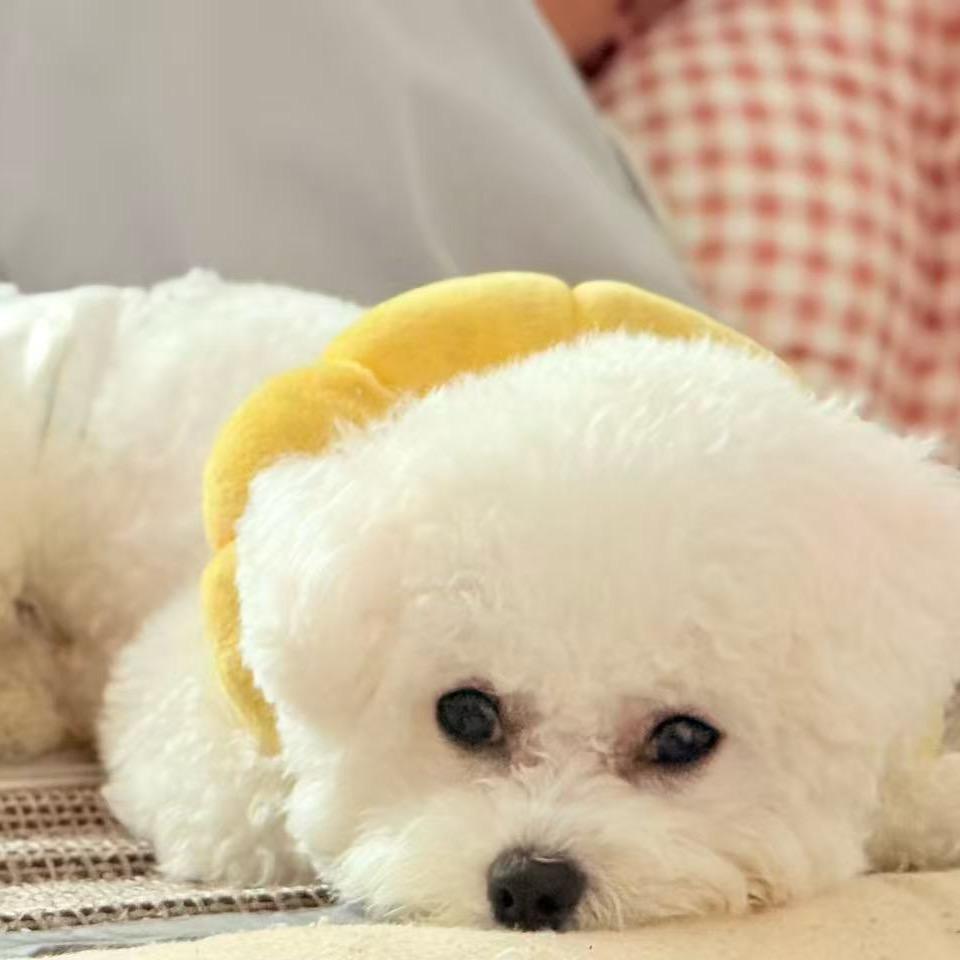 生吃了个人