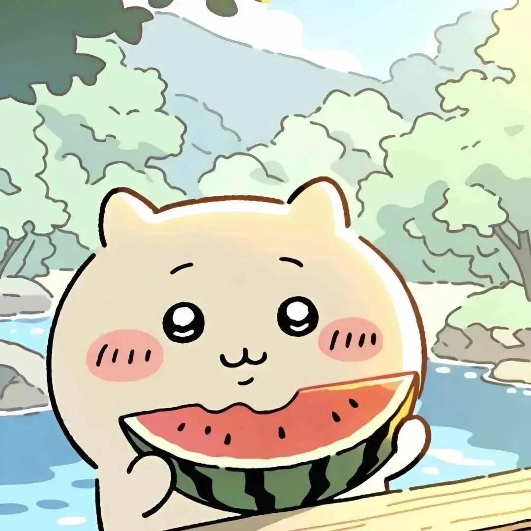 我爱吃西瓜🍉