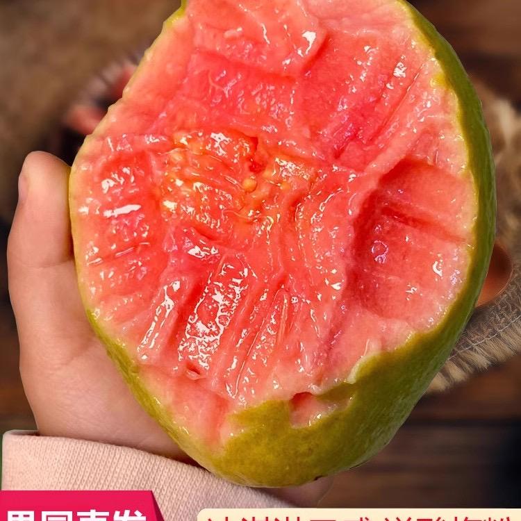 喜源味北流市绿元农业科技有限公司蔬菜制品专卖店