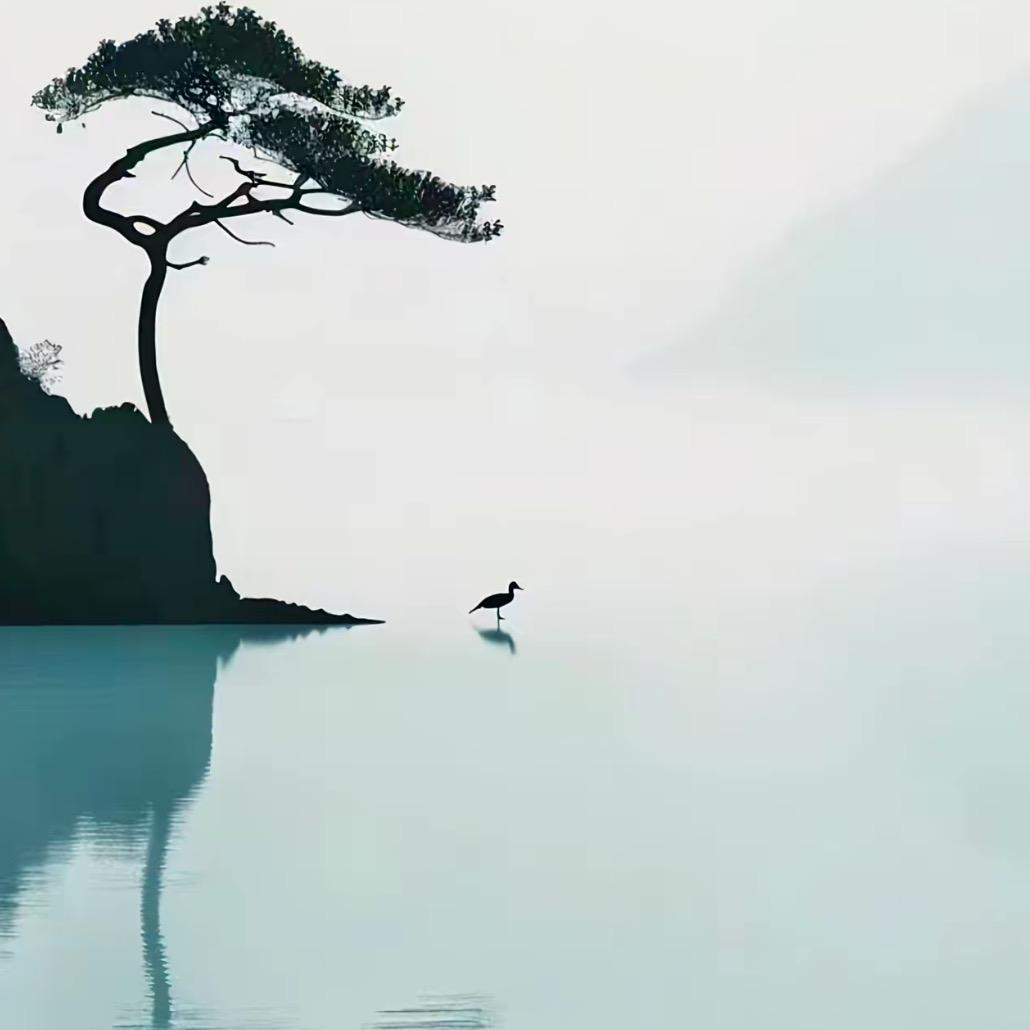 哒哒121仨直播号