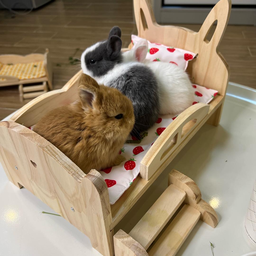 宠物萌萌甄选馆