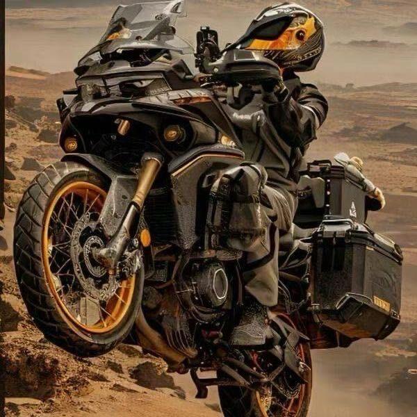 地羊（我看到了生生不息的激荡）