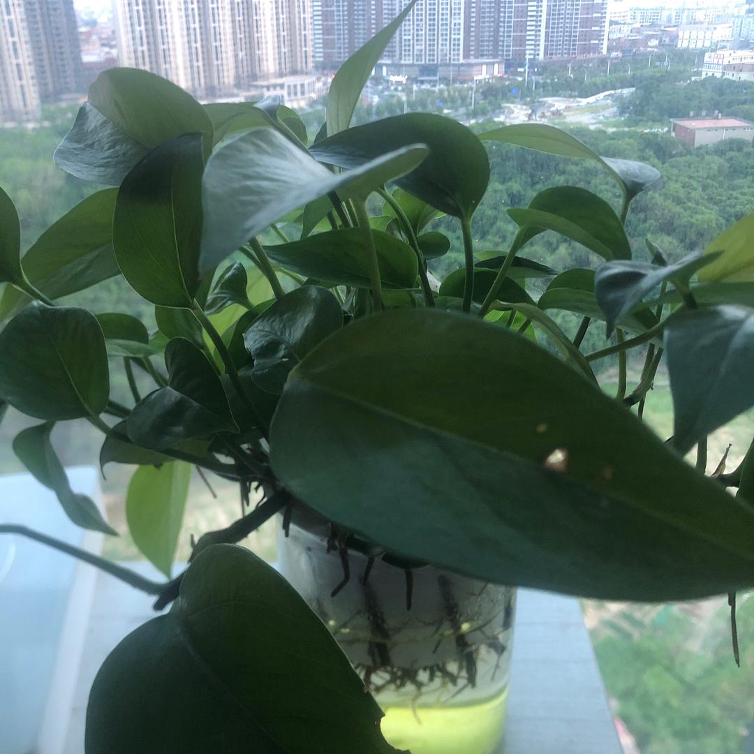 东东优选£
