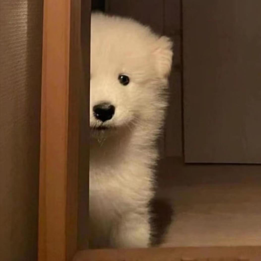 只喝一杯睡得着