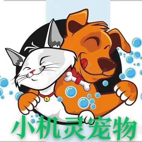 小机灵宠物生活坊