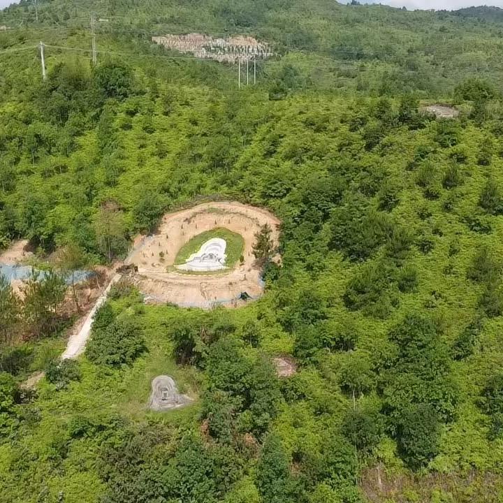 聚蜂3号