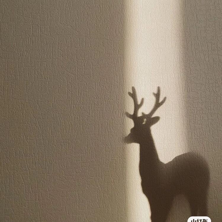 妙湛