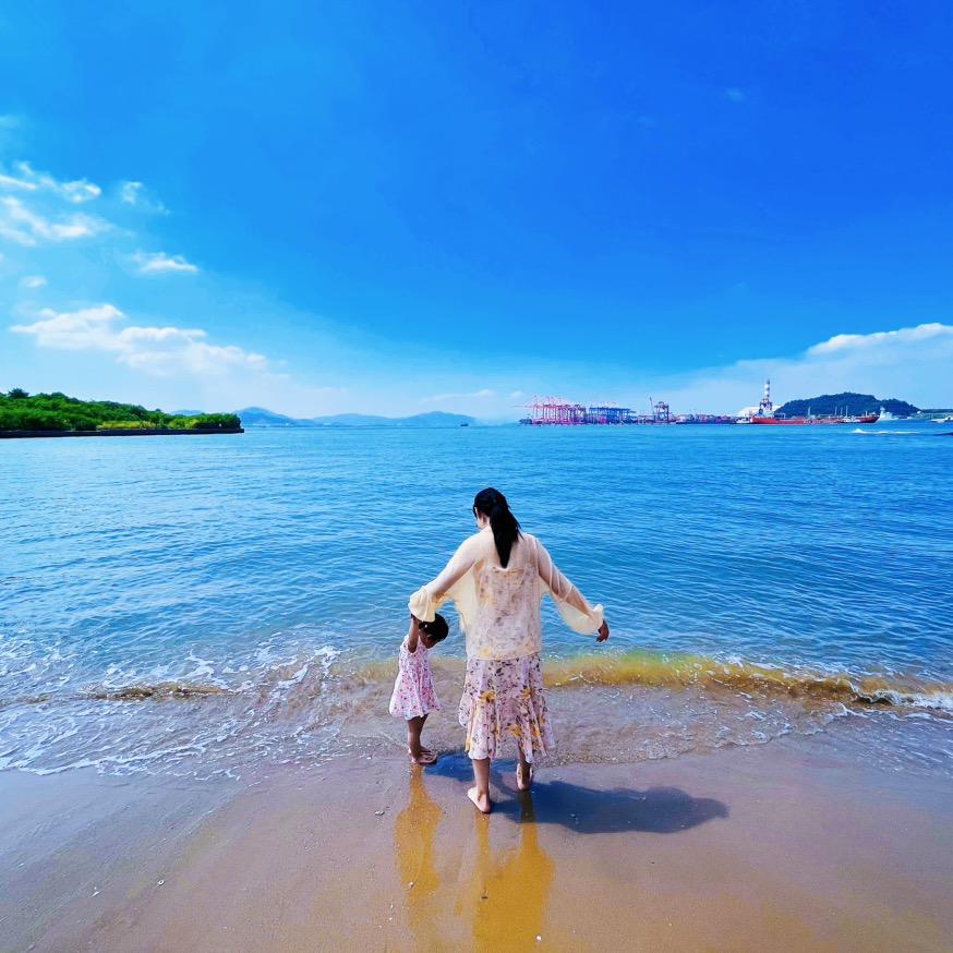 微风下的蒲公英¹¹⁸