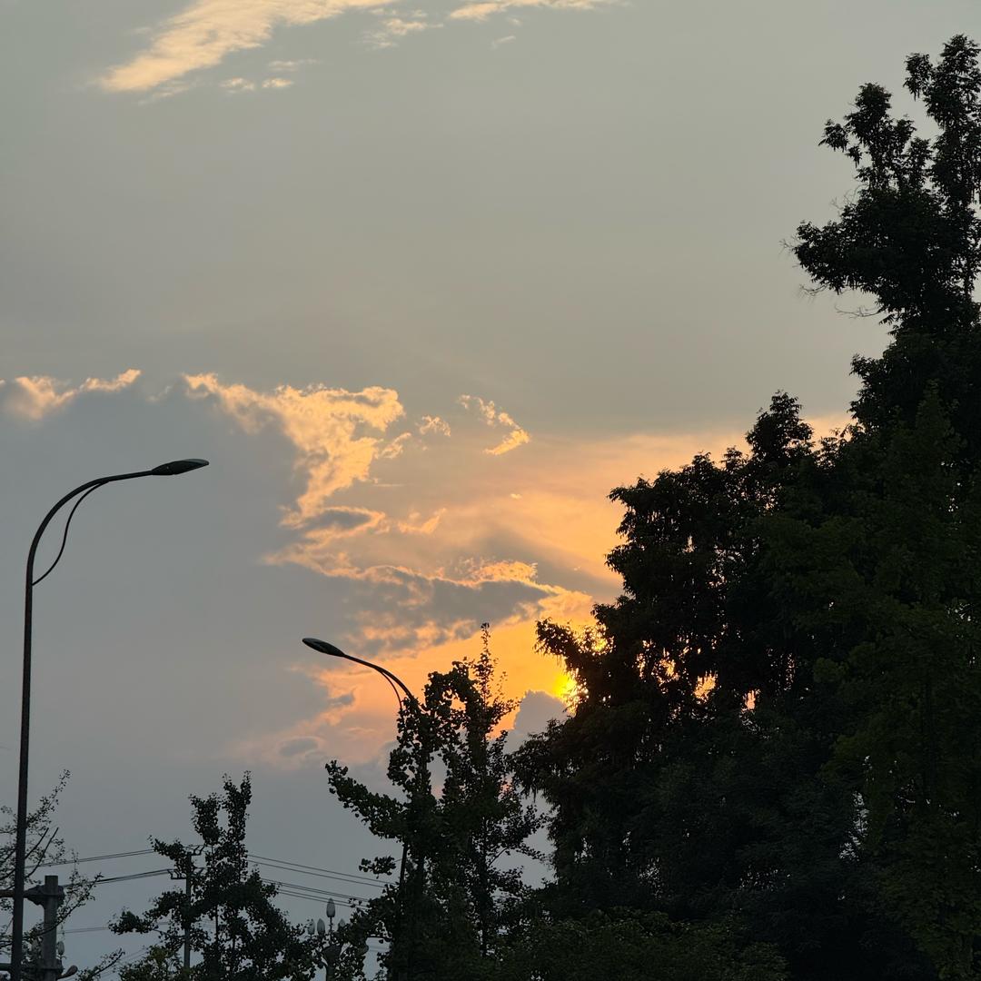 泡泡
