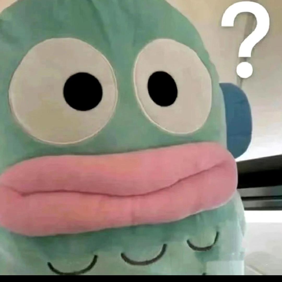 卷心菜面试