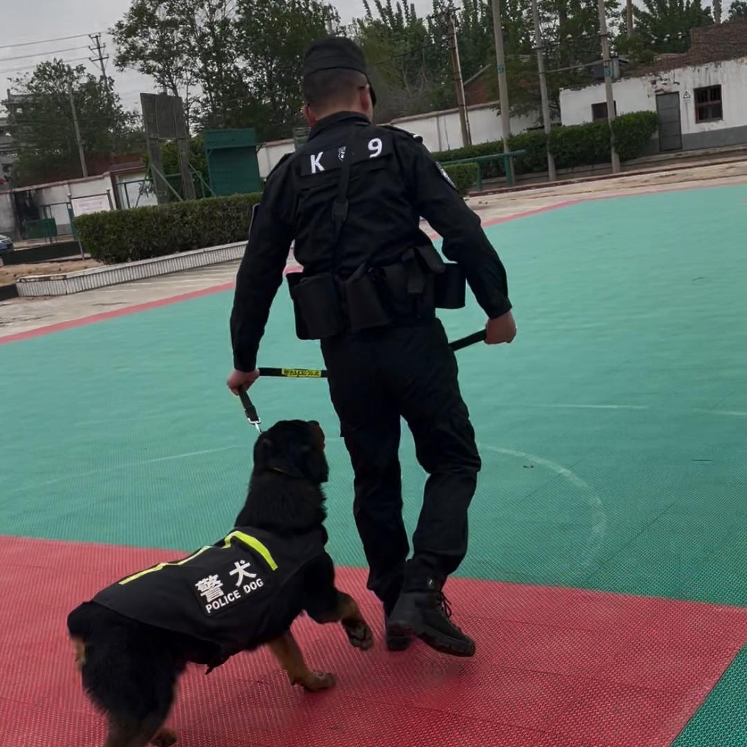 犬语者