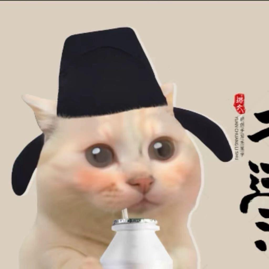 猫meme小剧场@抖音