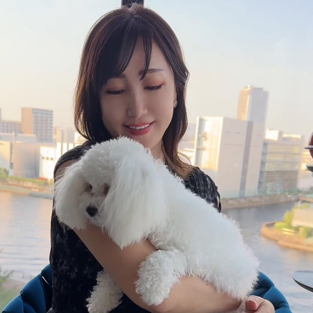 美帆在日本