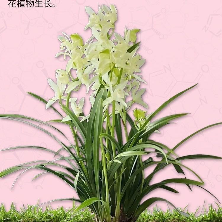 育护农业精选