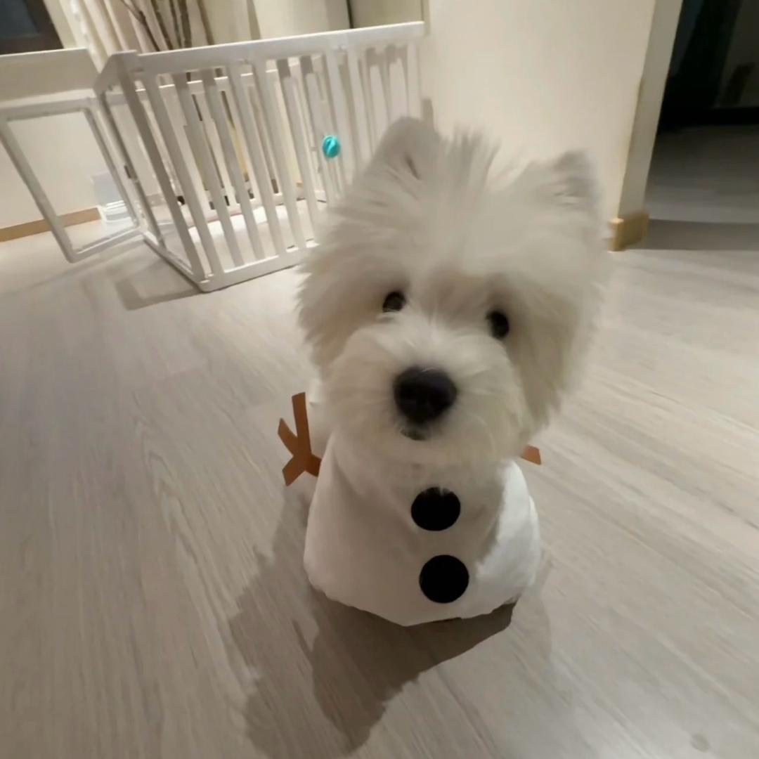 不煲电话粥