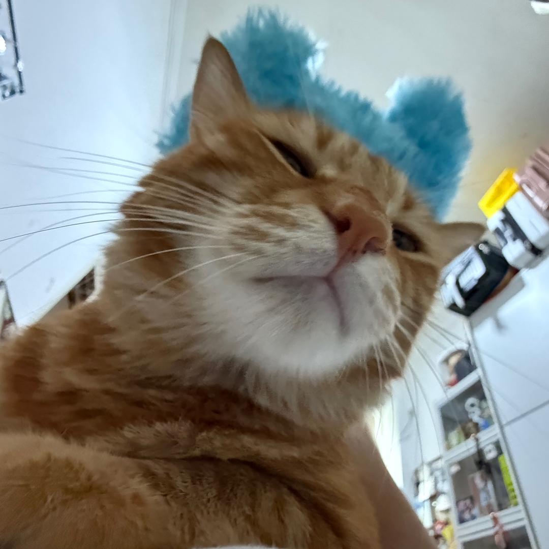 小郑很可爱