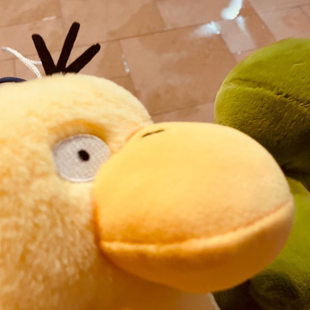 会遇见