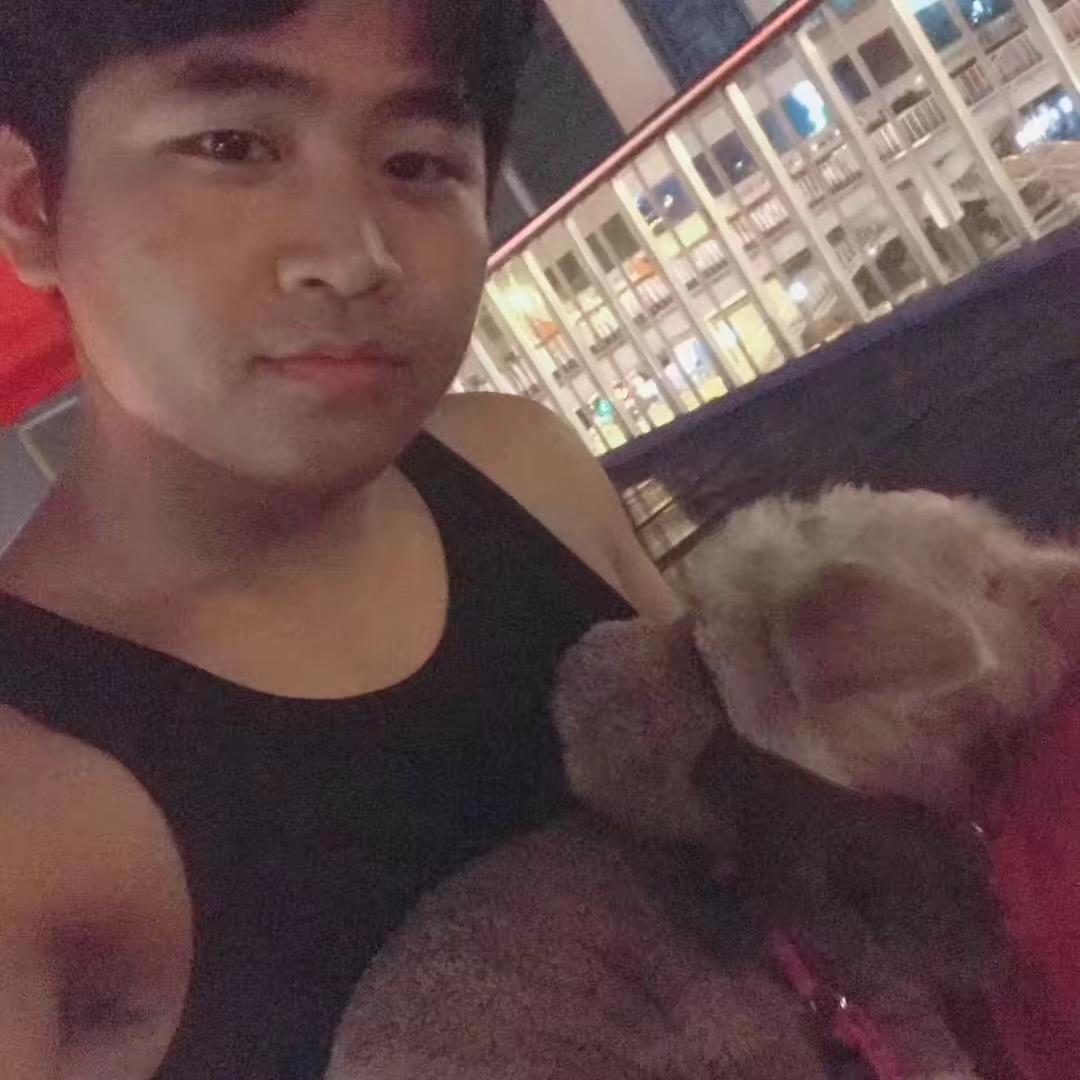如梦仍未醒