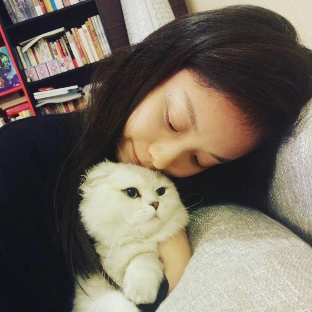 亢龙