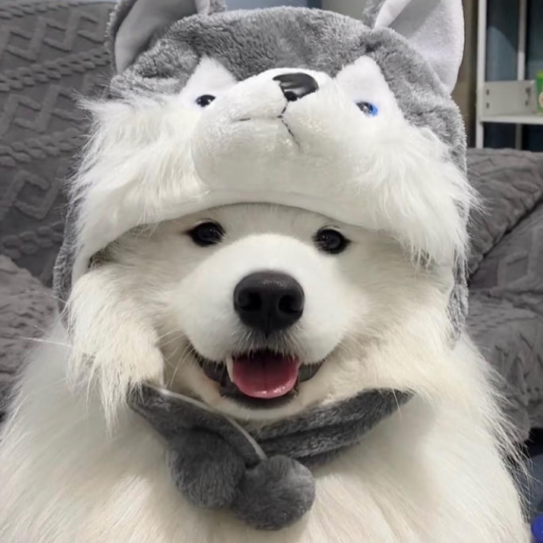 呜呼